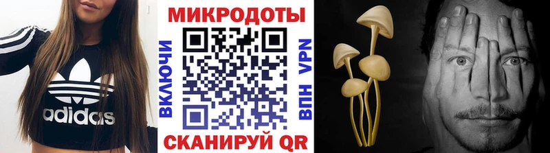 Галлюциногенные грибы мицелий  Мензелинск 